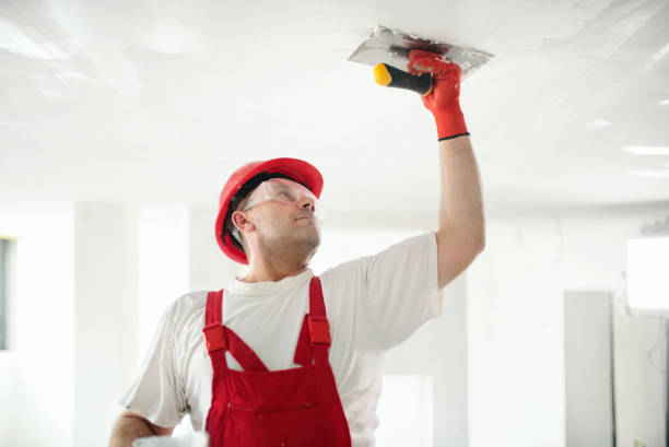 Best Exterior Painting  in Carmi, IL